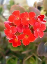 Mersin Merkez'de Bulunan ve İnanılmaz Escort Hizmetleri Sunan Bayan