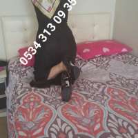 Silifke Bayan Escort: Büyüleyici Zarafet ve Estetik